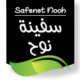 Safe Net Nooh Logo